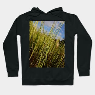 Rolling meadow Hoodie